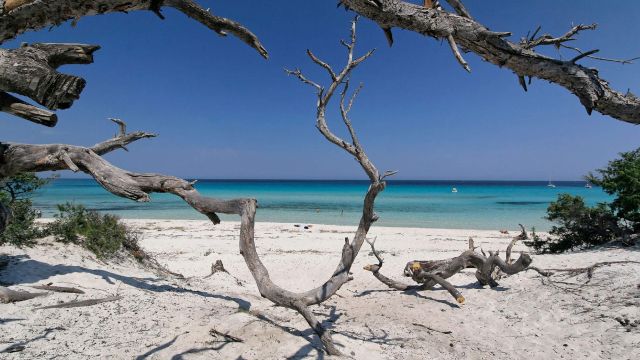 Plage Désert des Agriates - Corse